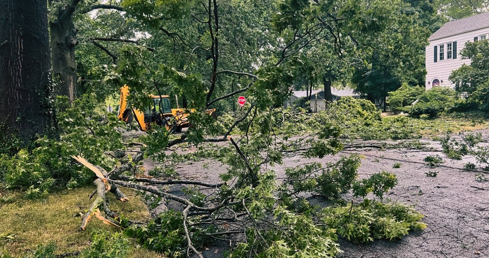 Padnutý strom a konáre na ceste.