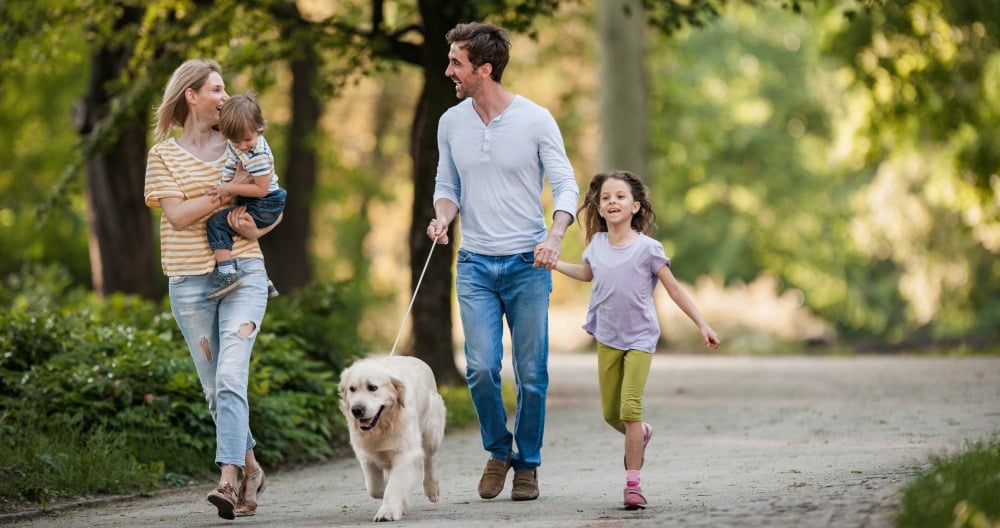 Matka, otec a deti sú na prechádzke a zároveň venčia psa.