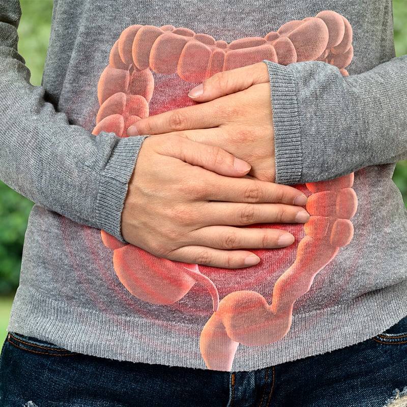 na obrazku zeny nakresleny zaludok